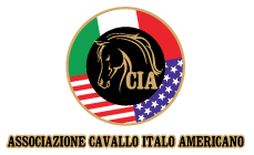 Associazione Cavallo Italo Americano