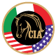 Associazione Cavallo Italo Americano